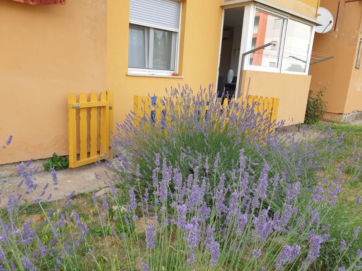 Apartamento Lav Rovinj Exterior foto